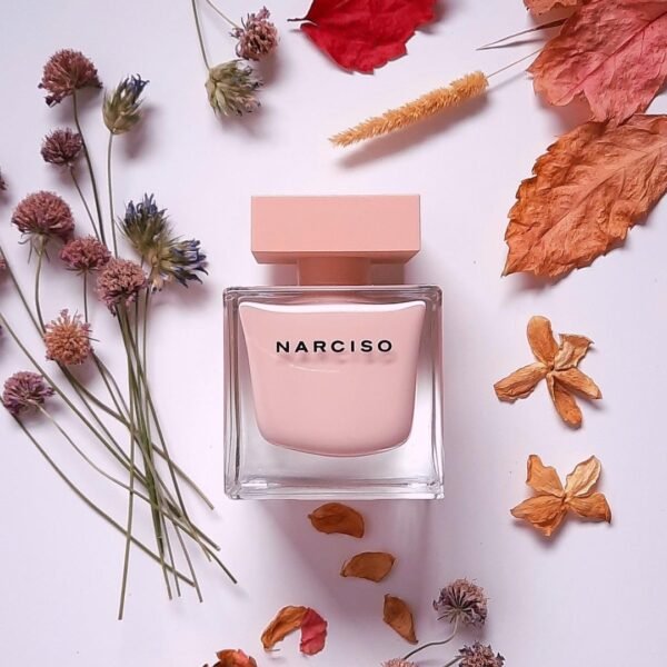 نارسیس رودریگز نارسیس پودری زنانه