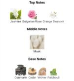 نارسیس رودریگز نارسیس پودری زنانه - تصویر 4