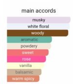 نارسیس رودریگز نارسیس پودری زنانه - تصویر 5