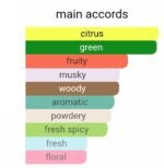 کرید سیلور مانتین واتر مردانه و زنانه - تصویر 5