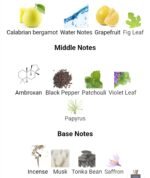 ورساچه دیلان بلو مردانه - تصویر 4