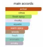 ورساچه دیلان بلو مردانه - تصویر 5