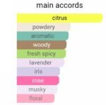 زرجف کازاموراتی مفیستو مردانه - تصویر 5