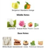 دیور جوی زنانه - تصویر 4