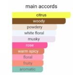 دیور جوی زنانه - تصویر 5