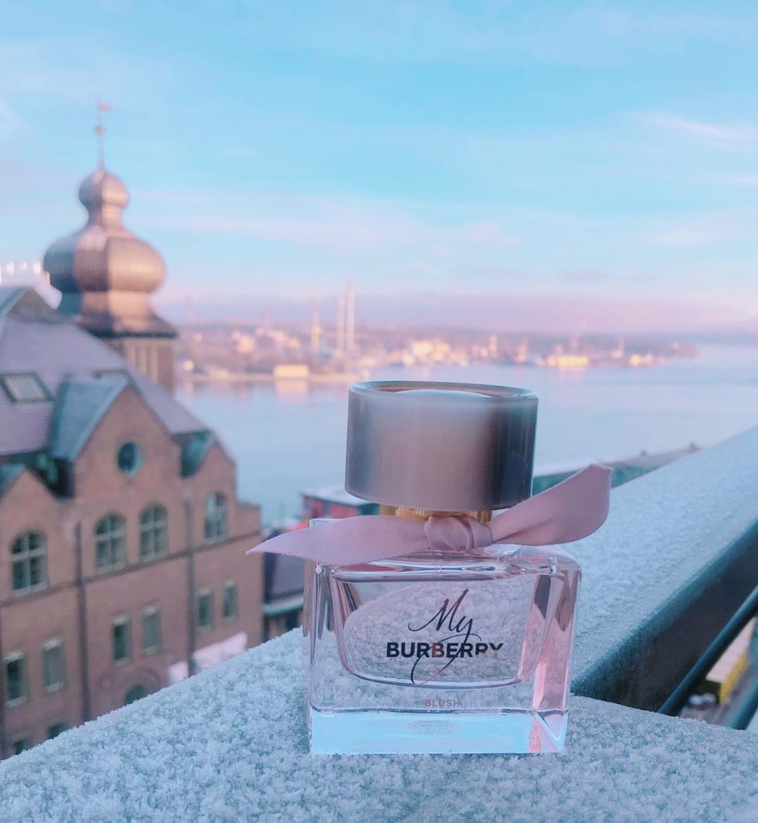 Screenshot_20241209_203539_Chrome باربری مای باربری بلاش زنانه - تصویر 1