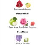 باربری مای باربری بلاش زنانه - تصویر 4