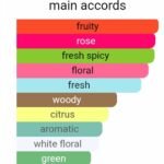 باربری مای باربری بلاش زنانه - تصویر 5