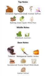 مانسرا رد توباکو مردانه و زنانه - تصویر 4