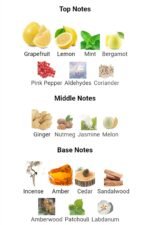 شنل بلو د شنل ادوپرفیوم مردانه - تصویر 4