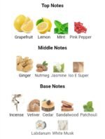 شنل بلو د شنل ادوتویلت مردانه - تصویر 4