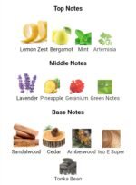 شنل بلو د شنل پارفوم مردانه - تصویر 4