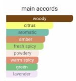 شنل بلو د شنل پارفوم مردانه - تصویر 5