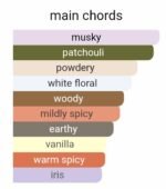 شنل چنس زنانه - تصویر 5