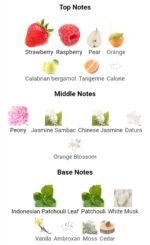 ایو سن لورن مون پاریس زنانه - تصویر 4