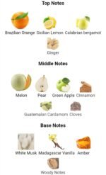 زرجف اربا گلد مردانه زنانه - تصویر 3