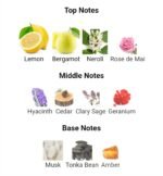 ورساچه پورهوم مردانه - تصویر 4