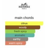 هرمس تق هرمس مردانه - تصویر 5
