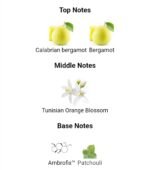 ایو سن لورن مای سلف مردانه - تصویر 4