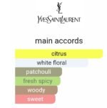 ایو سن لورن مای سلف مردانه - تصویر 5