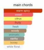 جورجیو آرمانی آیدول زنانه - تصویر 4