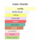 ایو سن لورن لیبر اینتنس زنانه - تصویر 5