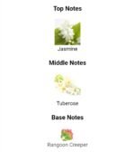 گوچی بلوم زنانه - تصویر 4