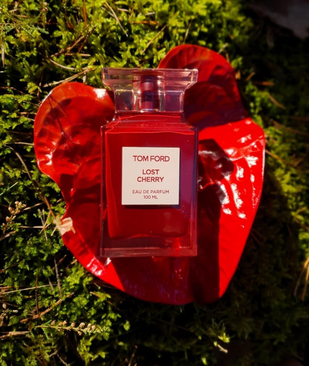 Screenshot_20260104_205311_Chrome تام فورد لاست چری زنانه و مردانه - تصویر 1