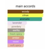 جیونچی پور هوم مردانه - تصویر 4