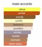 گرلن شالیمار زنانه - تصویر 4