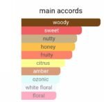 پاکو رابان وان میلیون لاکی مردانه - تصویر 5