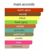 شنل کوکو نویر زنانه - تصویر 5