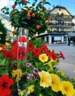 کنزو فلاور زنانه - تصویر 3