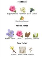 کنزو فلاور زنانه - تصویر 4