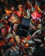 لالیک انکر نویر مردانه