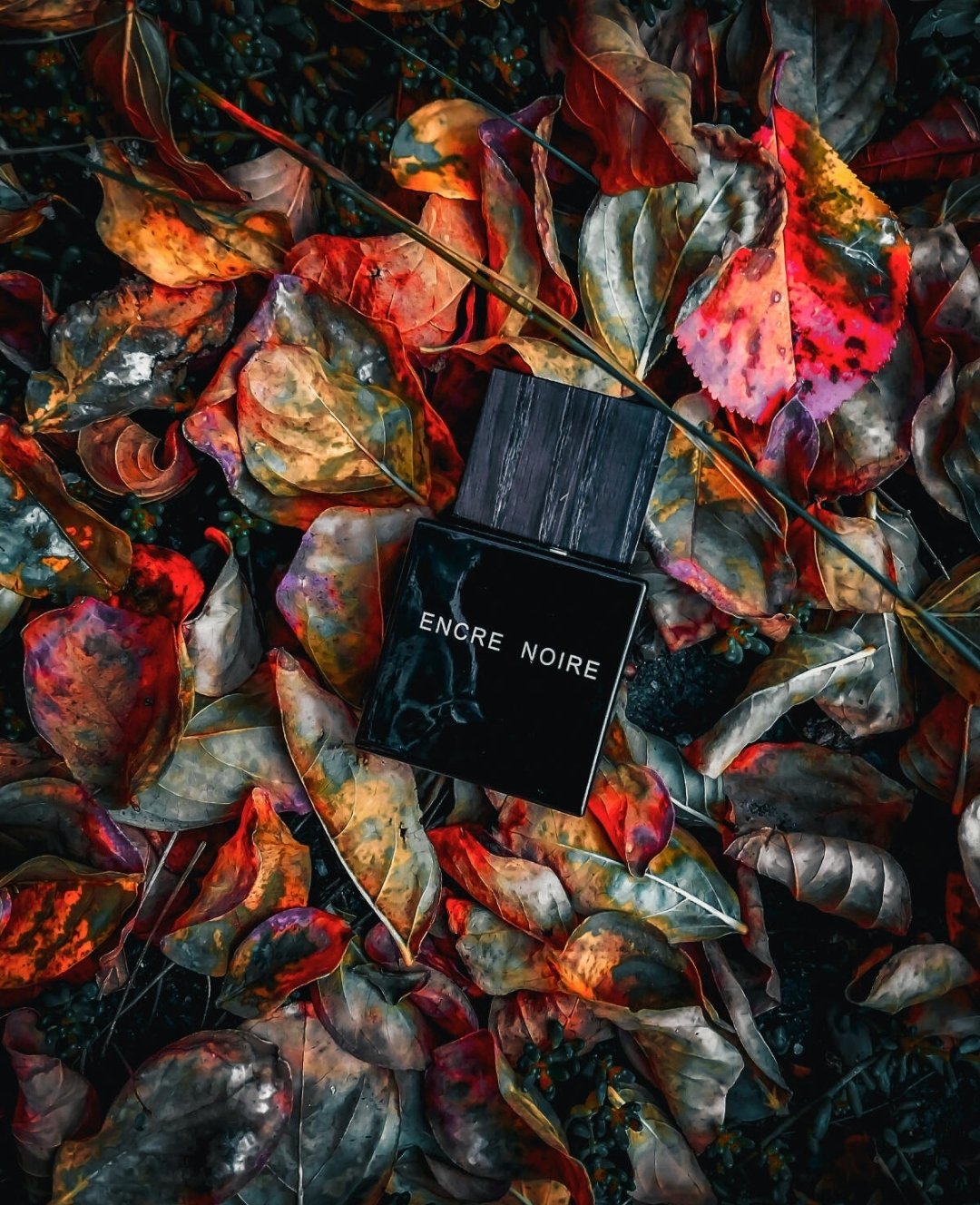 Screenshot_20260106_150741_Chrome لالیک انکر نویر مردانه - تصویر 1