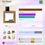 دسکوارد۲ هی وود مردانه - تصویر 2