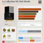 ایو سن لورن ام سون (M7) عود ابسولو مردانه - تصویر 2