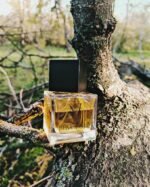 ایو سن لورن ام سون (M7) عود ابسولو مردانه