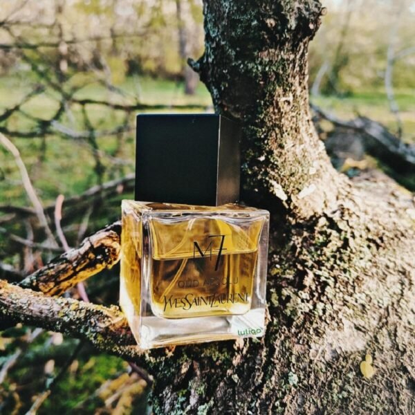 ایو سن لورن ام سون (M7) عود ابسولو مردانه