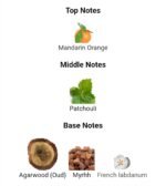 ایو سن لورن ام سون (M7) عود ابسولو مردانه - تصویر 5