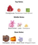 کالوین کلین ایفوریا زنانه - تصویر 4