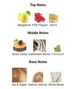 دیور هوم (نقره‌ای) مردانه - تصویر 4