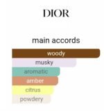 دیور هوم (نقره‌ای) مردانه - تصویر 5