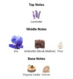 دیور هوم اینتنس مردانه - تصویر 4