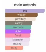 دیور هوم اینتنس مردانه - تصویر 5