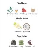 زرجف کواترو پیزی مردانه زنانه - تصویر 4