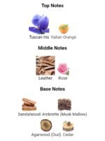 دیور هوم پارفوم مردانه - تصویر 4