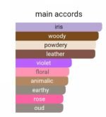 دیور هوم پارفوم مردانه - تصویر 5