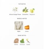 نارسیس رودریگز فور هر (مشکی) زنانه - تصویر 5